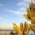 luxor_lux_h_0019_egy2605.jpg